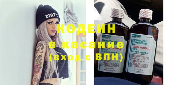 индика Богородицк