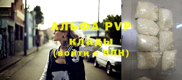 индика Богородицк