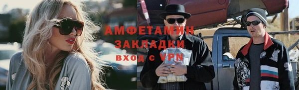 индика Богородицк