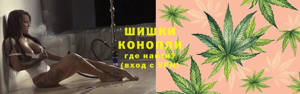 индика Богородицк