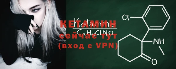 индика Богородицк