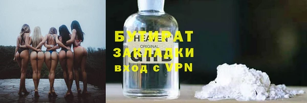 индика Богородицк