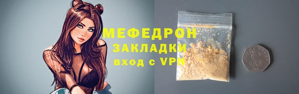 индика Богородицк