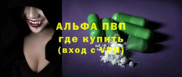 индика Богородицк