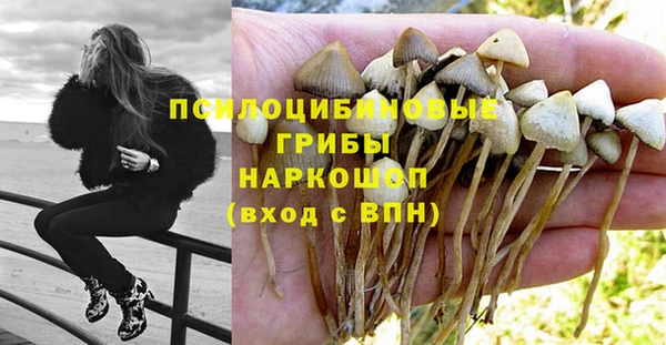амф Богданович