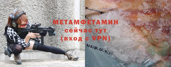 индика Богородицк
