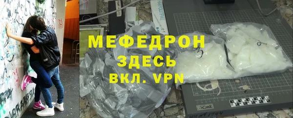 индика Богородицк