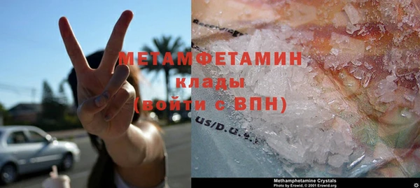 индика Богородицк