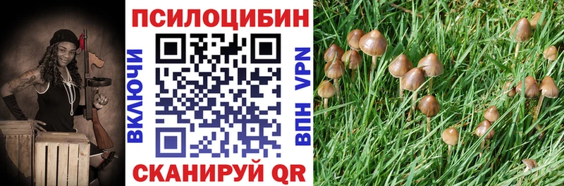 Галлюциногенные грибы прущие грибы  Миллерово 